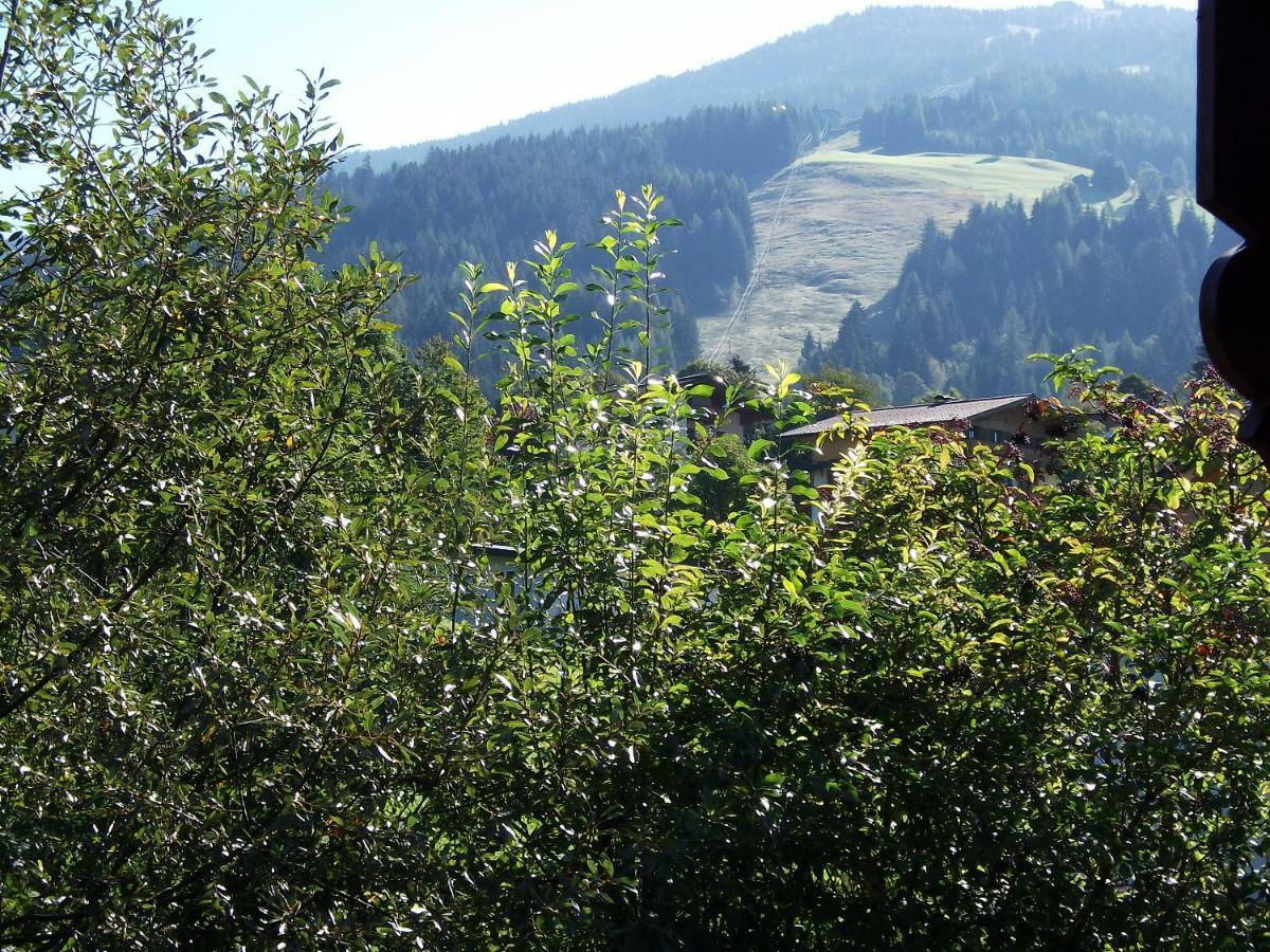 Landhaus Michael Wagrain Bagian luar foto